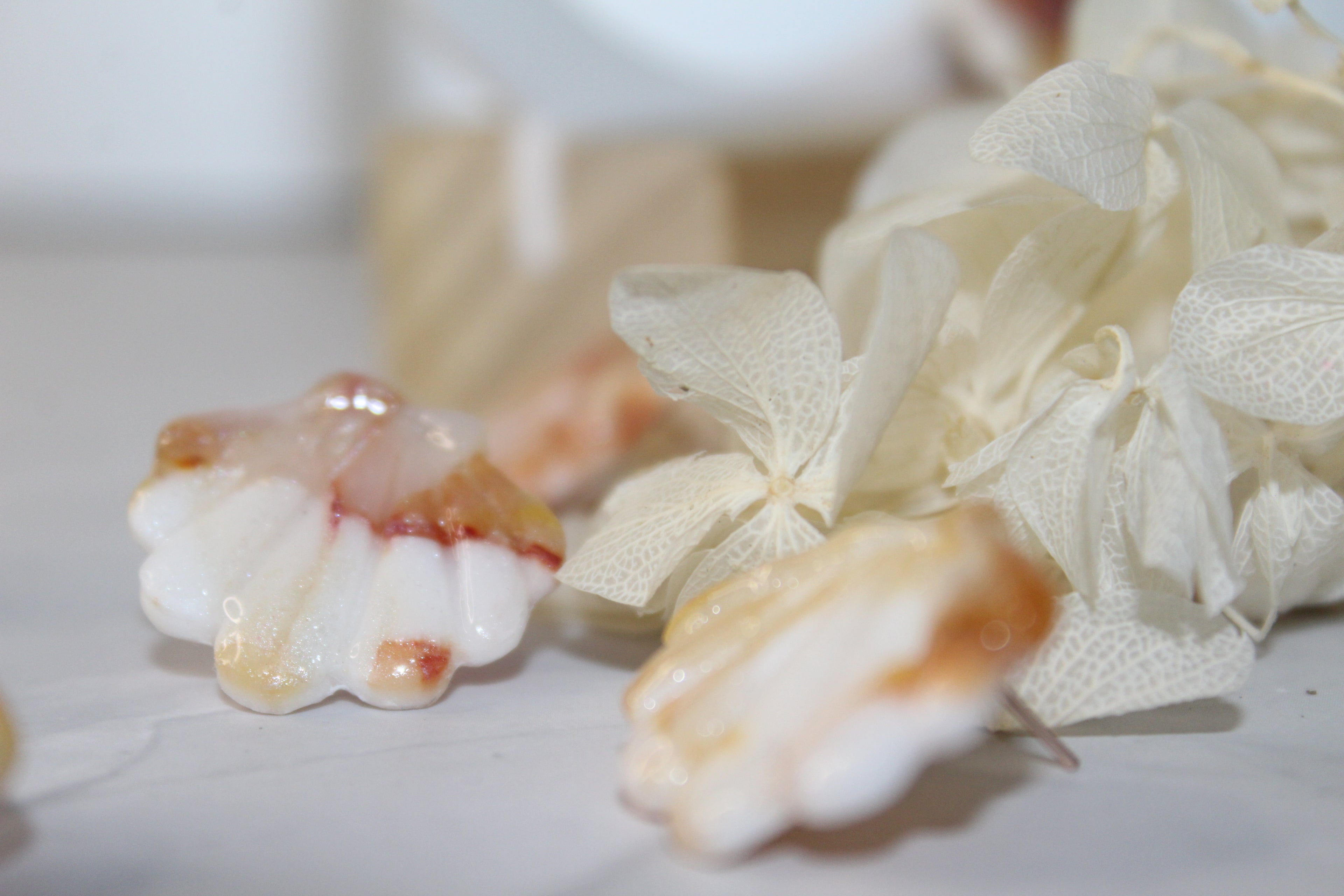 Petites puces coquillages beiges- blanches, touches ambrées